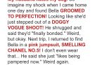 Every Time I Returned from a Work Trip My Dog Looked Different, Until Her Collar Revealed What My Husband Was Hiding — Story of the Day